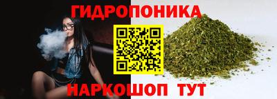 бошки Кингисепп